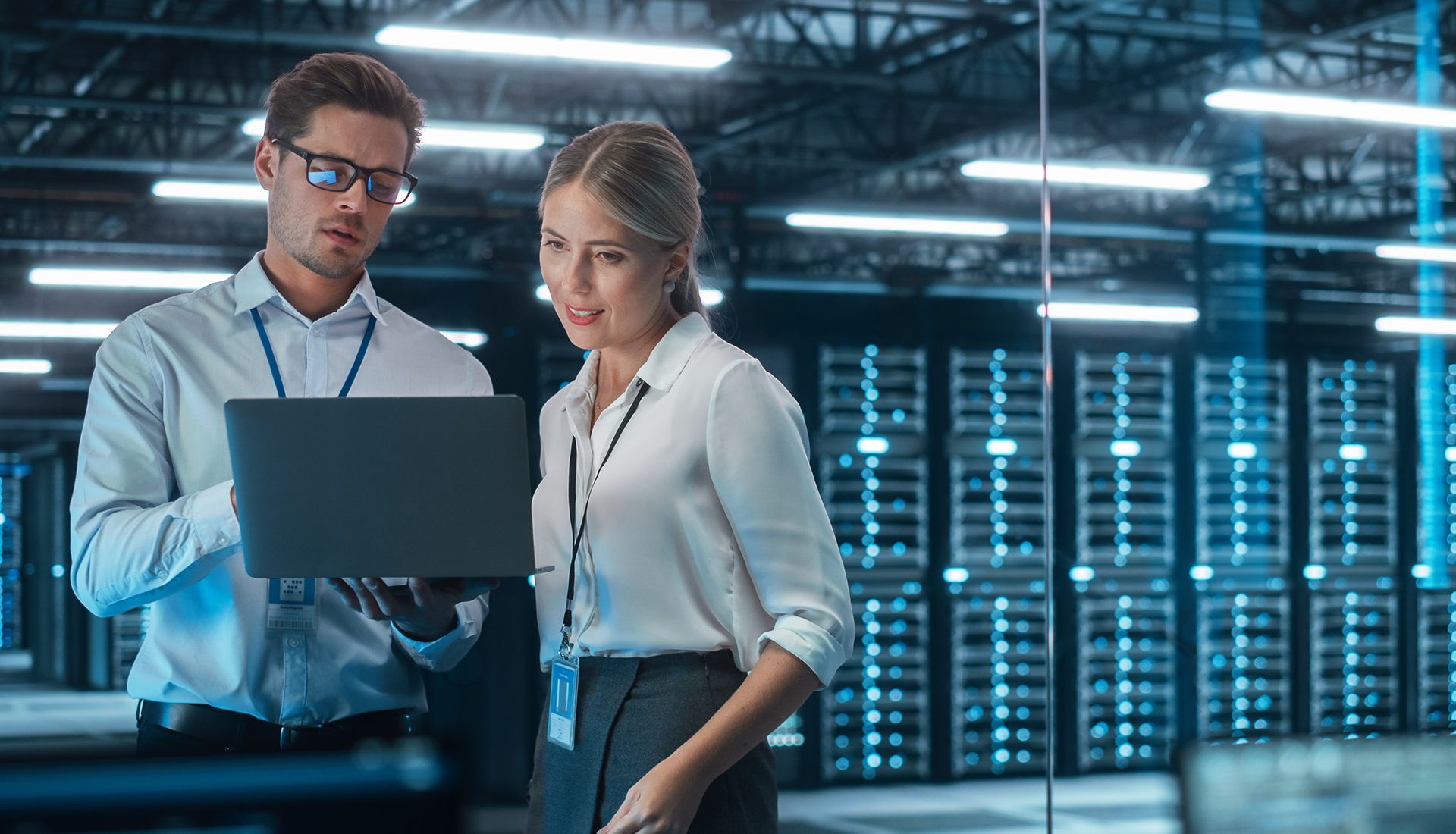 El ecosistema digital y su estructura funcional